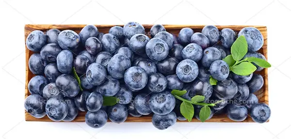 عکس میوه ی بلوبری