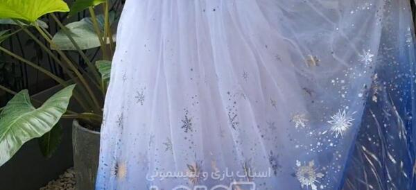 عکس های لباس زیبای خفته