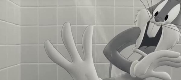 عکس باگز بانی