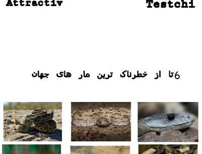 عکس شرک میم