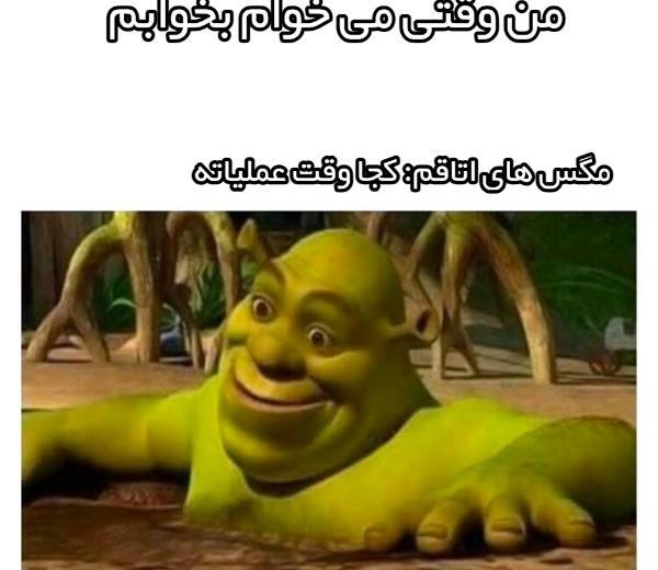 عکس شرک میم