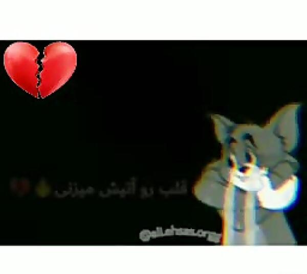 عکس تام و جری دپ