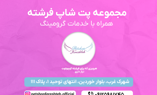 عکس گربه راشن بلو
