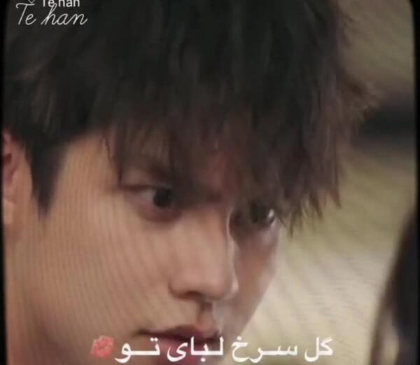 عکس تام و گوریا