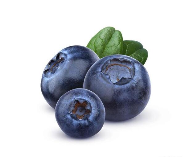 عکس بلوبری