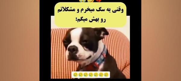 عکس تام و جری گنگ