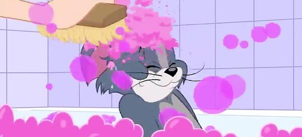 عکس عکس تام و جری