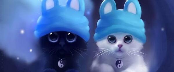 عکس شرک و خر شرک