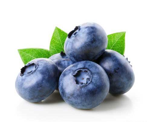 عکس میوهی بلوبری