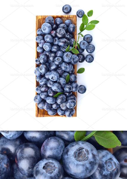 عکس میوهی بلوبری