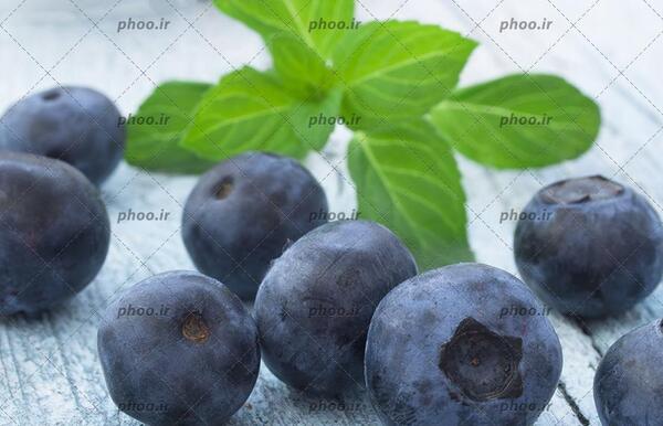 عکس میوهی بلوبری