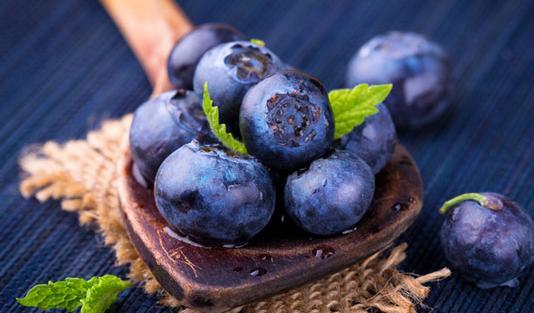 عکس میوهی بلوبری