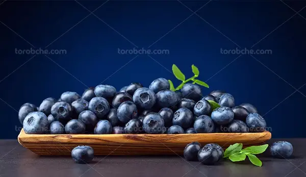 عکس میوهی بلوبری