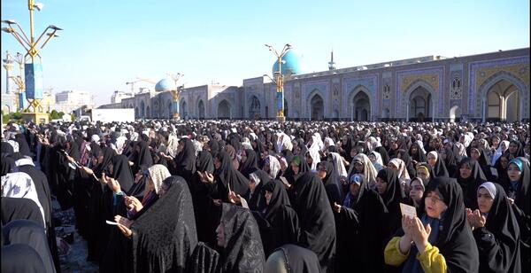 عکس مورچه ی آدم خوار