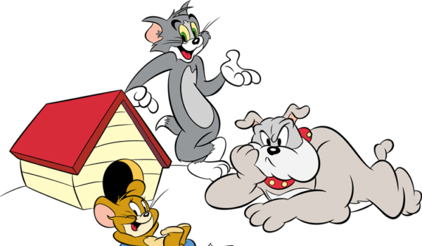 عکس تام و جری و سگ