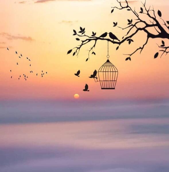 عکس زیبای زیبای خفته