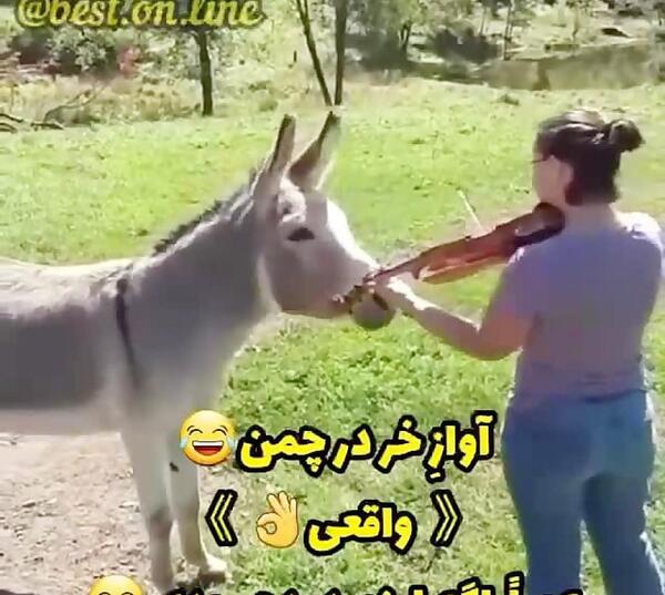 عکس خر شرک مظلوم