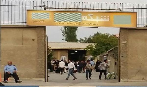 عکس شرکت های هرمی