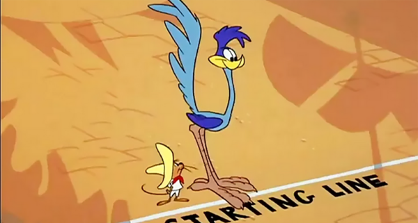 عکس پرنده میگ میگ