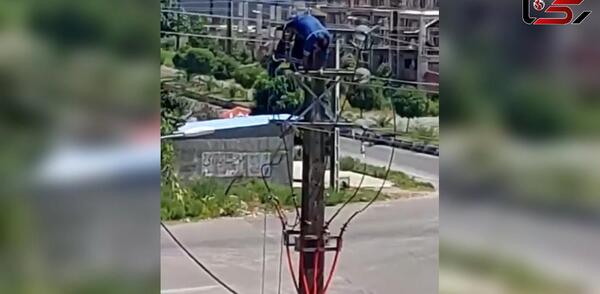 عکس سیمبان