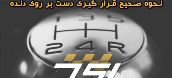 عکس نقاشی سونیک خارپشت