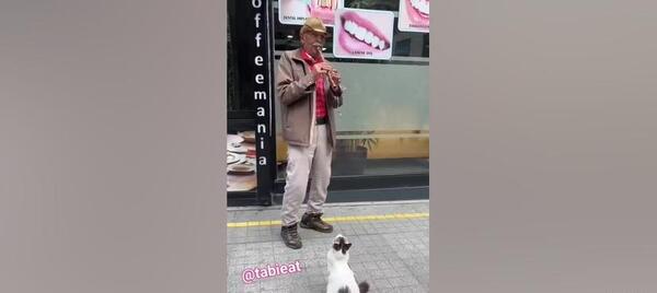 عکس نقاشی دختر سفید برفی