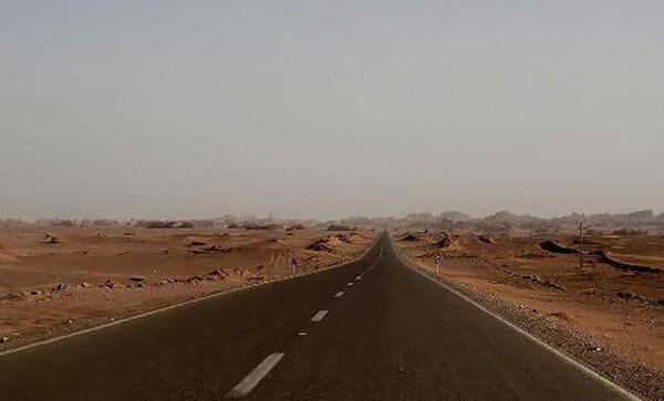 عکس های تام و جری واقعی