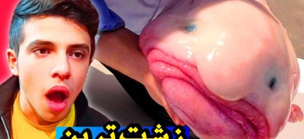عکس ماهی بلوپ