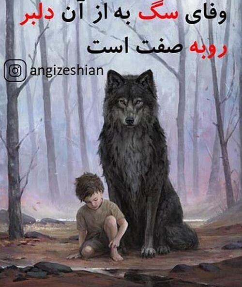 عکس پروفایل گربه نره
