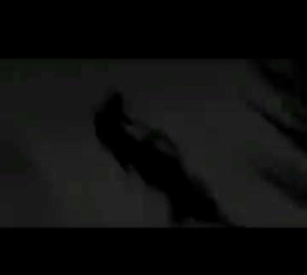 عکس السا که میمیره
