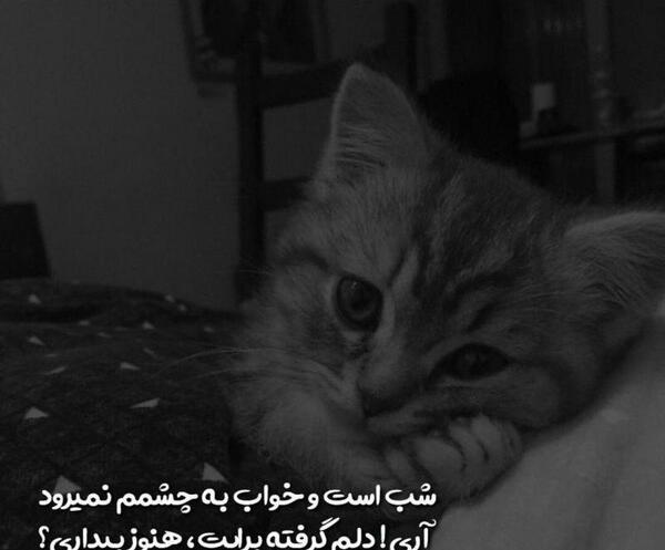 عکس نوشته تام و جری غمگین