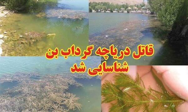 عکس گرداب بن