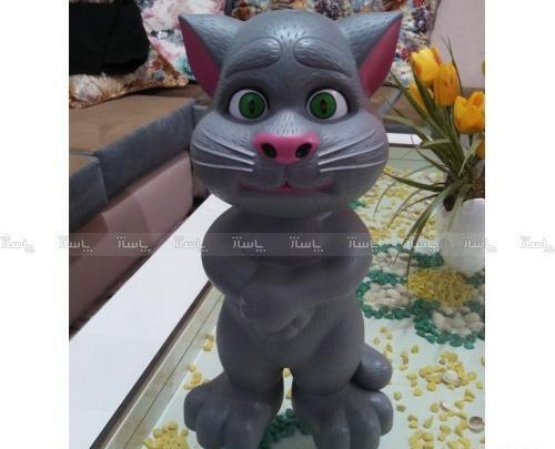 عکس عروسک تام