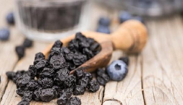 عکس گیاه بلوبری