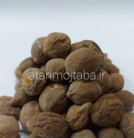 عکس گیاه بلوبری