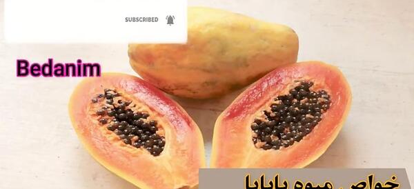 عکس گیاه بلوبری