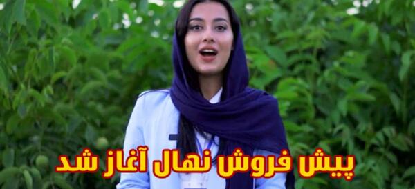 عکس گیاه بلوبری
