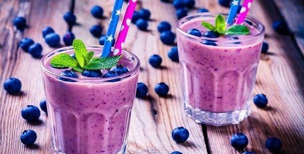 عکس گیاه بلوبری