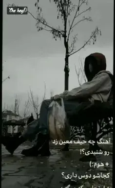 عکس راپونزل و آریل