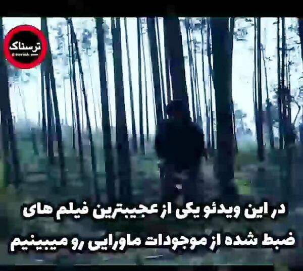 عکس سفید برفی ترسناک
