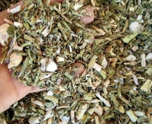 عکس بن سرخ خشک شده
