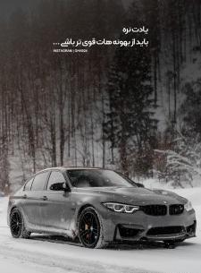 دانلود عکس ملوان زبل