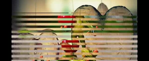 عکس سوباسا عاشقانه