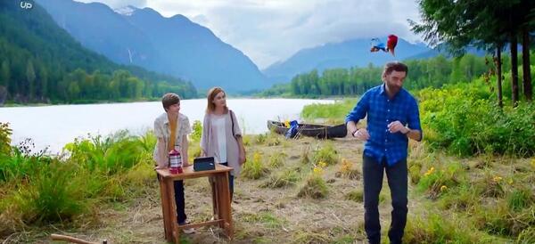 عکس وودی دارکوبه