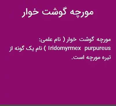 عکس مورچه گوشت خوار