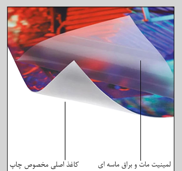 عکس باب اسفنجی روی بوم