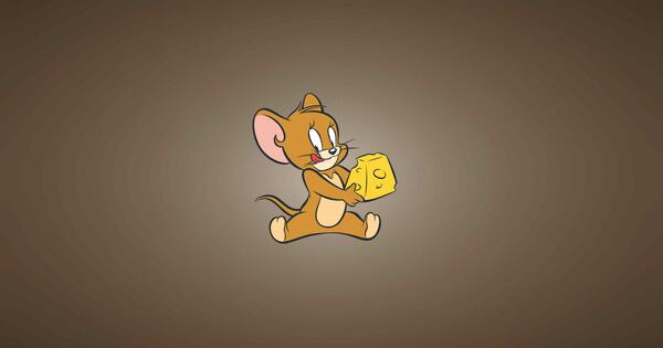 عکس های زیبا از تام و جری
