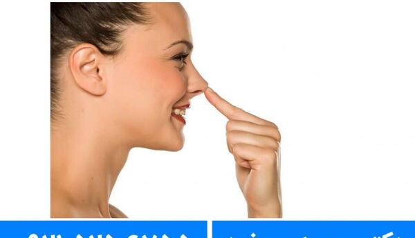 عکس بینی پینوکیو