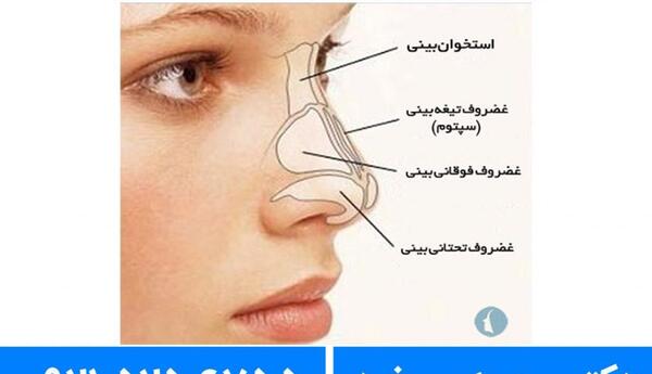 عکس بینی پینوکیو