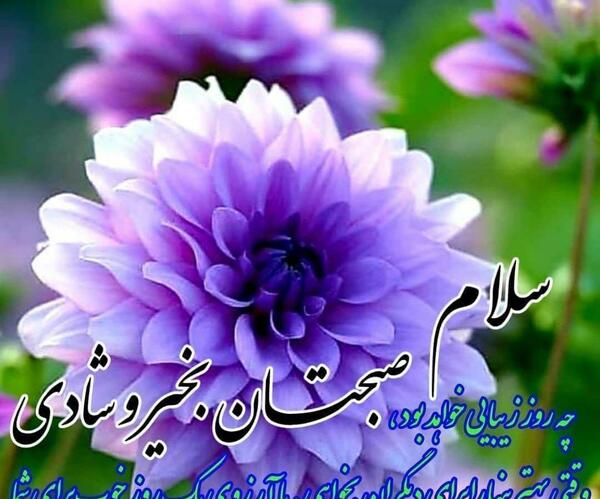 عکس نوشته صبح بخیر داداشی